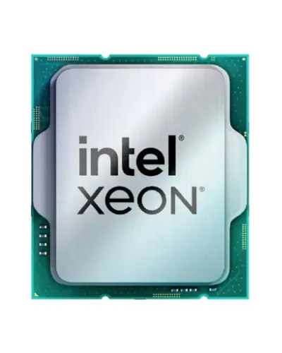 Процесор Intel Xeon E-2486 SRMX9