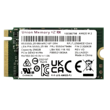 Накопитель SSD Union Memory AM620 256Gb NVMe M.2 Gen3x4 (RPJTJ256MEE1OWX)