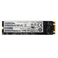 Накопитель SSD Sandisk X300 256Gb M.2 SATA (SD7SN6S-256G-1006)