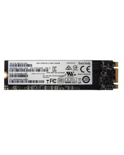Накопичувач SSD Sandisk X300 256Gb M.2 SATA (SD7SN6S-256G-1006)